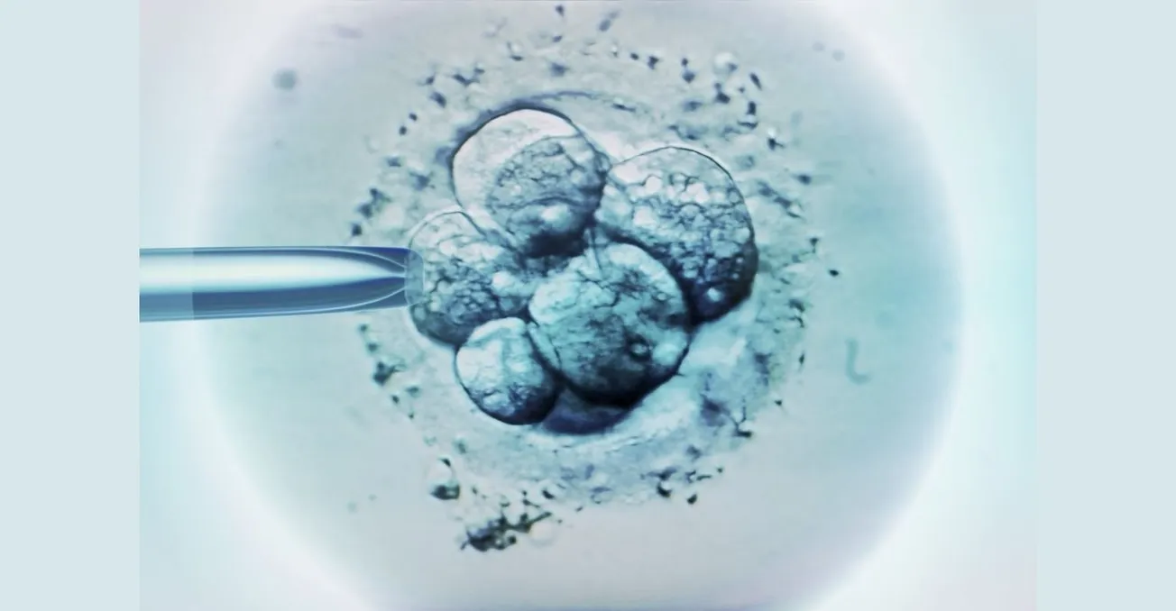 If personhood begins at conception, what about all those frozen humans?