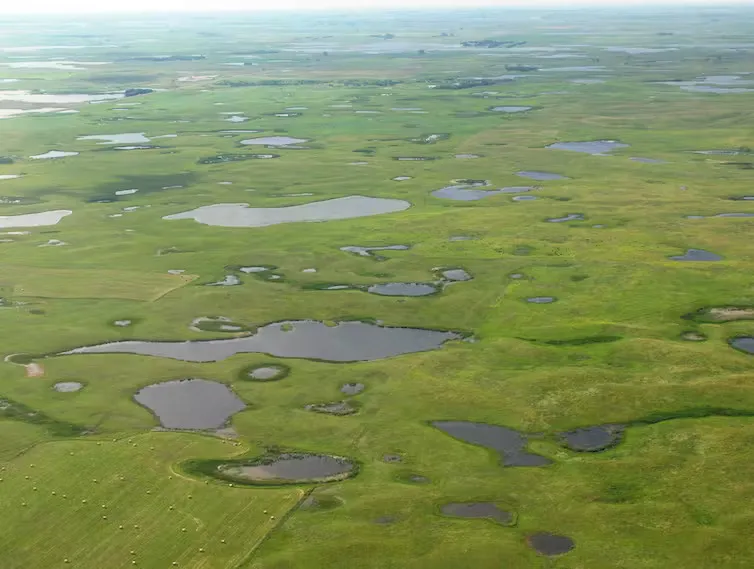 SCOTUS just shriveled federal protection for wetlands