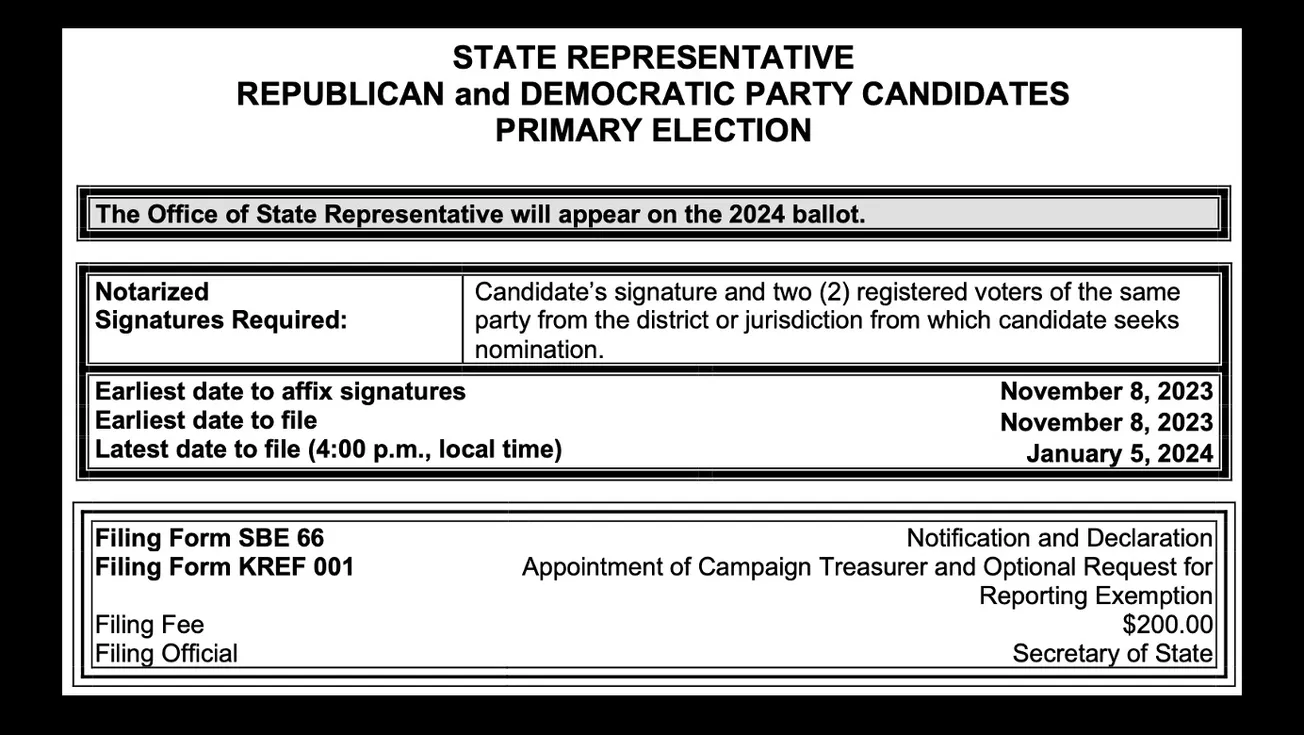 Overview of the candidate filings